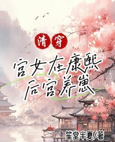 清穿康熙后宫空间文